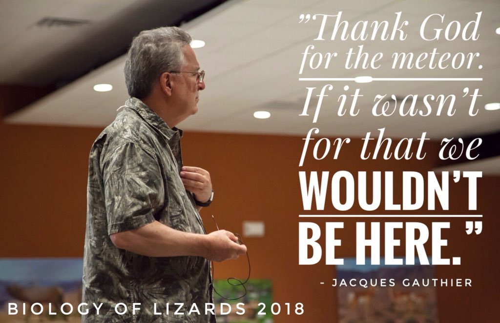 Here at Biology of Lizards we are what you might call optimists. #biologyoflizards2018 #herpetology #chiricahuadesertmuseum #EvolutionaryEcology