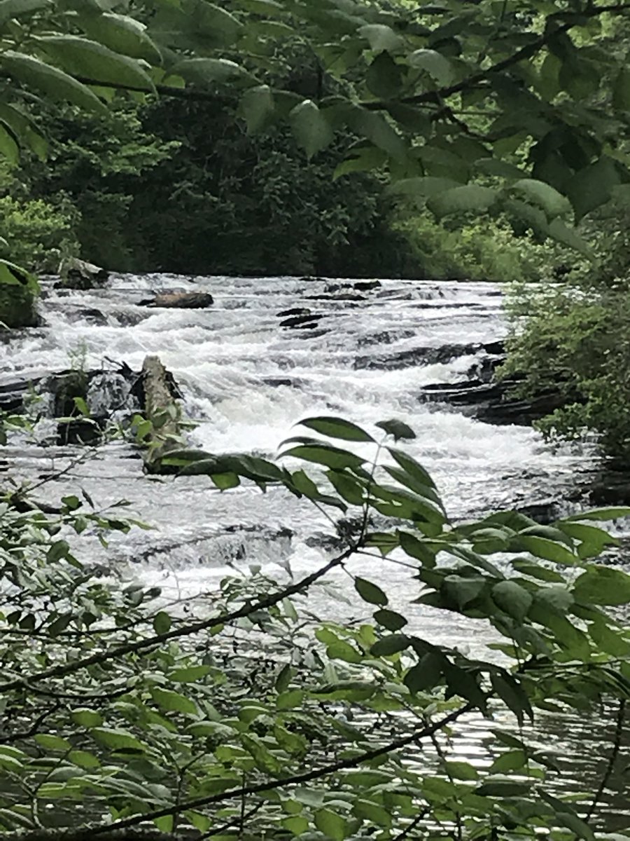 UsaflycoOrange's tweet photo. About to hit the stream🇺🇸 North #Georgia on #MemorialDayWeekend bring it! https://t.co/B3xgmPApkQ flytying new #gear #USA #FlyFishing https://t.co/FYN1VKQC1m