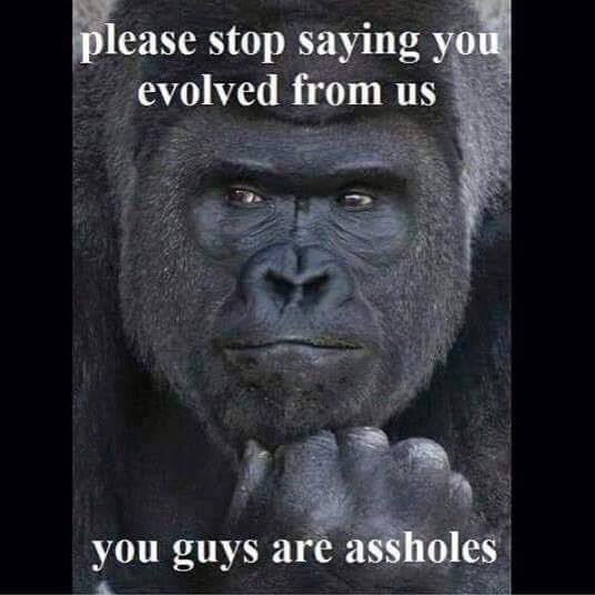 XposeTrophyHunt's tweet image. Can we blame him for feeling this? Sam

#ExposeTrophyHunting 
@XposeTrophyHunt