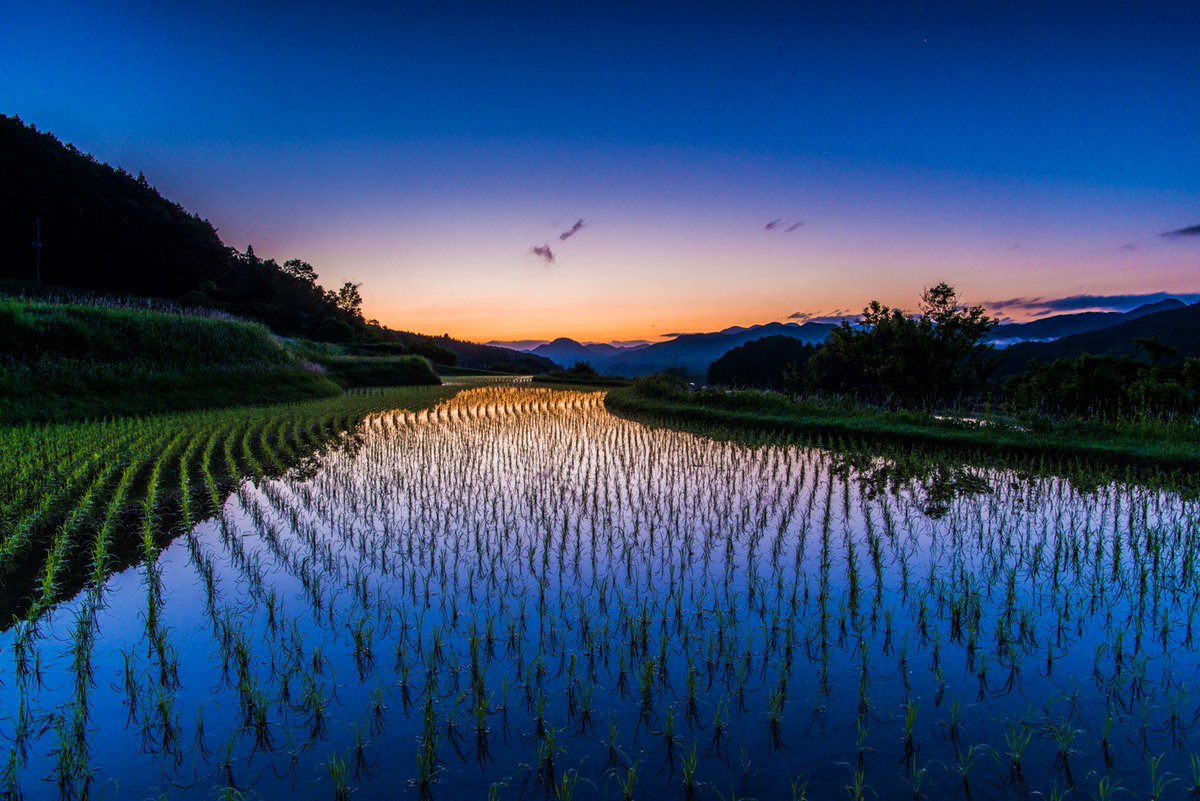 v0_0v______mk's tweet photo. 奈良県宇陀市　田んぼの朝の風景
#昔の写真

そろそろ宇陀地域の水田に水がはられているはず。 https://t.co/nxcGE6MX4V