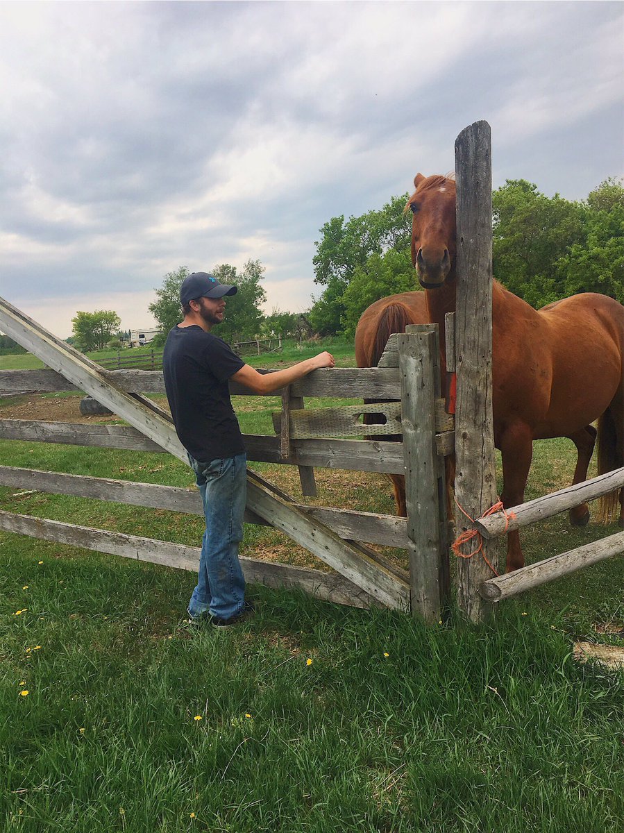 steeeph19's tweet photo. A day at the farm with my love. Really reminds me of my roots. I needed this 💜💜💜 https://t.co/IEoL7jXSA2