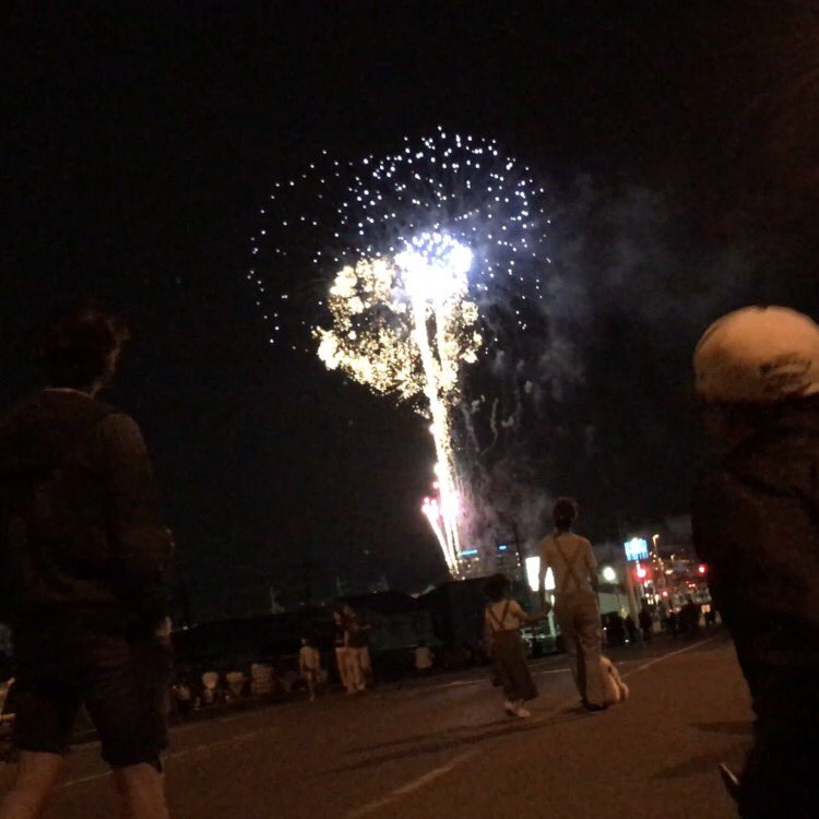 鹿沼花火大会 鹿沼花火大会