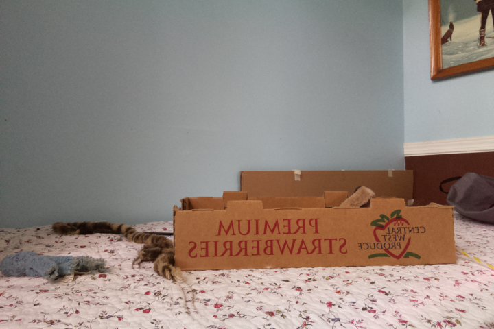 I'm 92.13% confident this is a envelope. Might be a carton