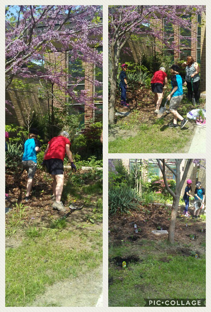 Thank you Canadian Wildlife Federation for the donation of pollinator plants for our school gardens.  The birds, butterflies and bees in our school neighbourhood thank you too. @chrislanis #cwfwildspaces