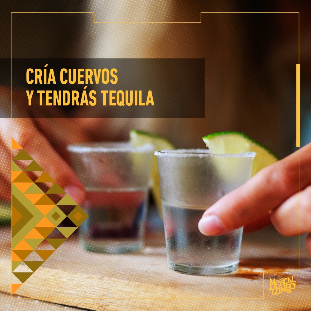 Después de criarlos los servimos muy bien 😉

Chapultepec 480 Plaza Punto Chapultepec
Reservaciones: 33 1987 9340