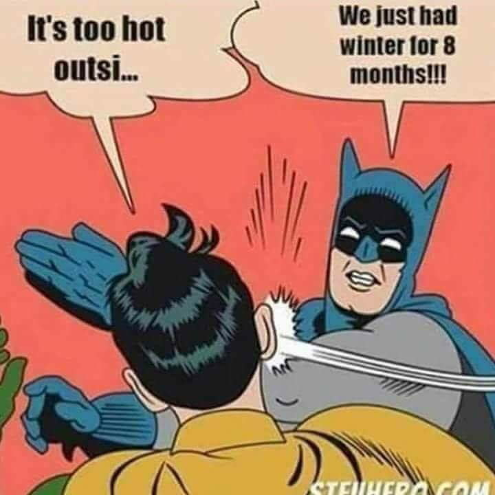 reneknottsports's tweet image. I saw this on @facebook LOL 😂😂😂😂 #STLWeather