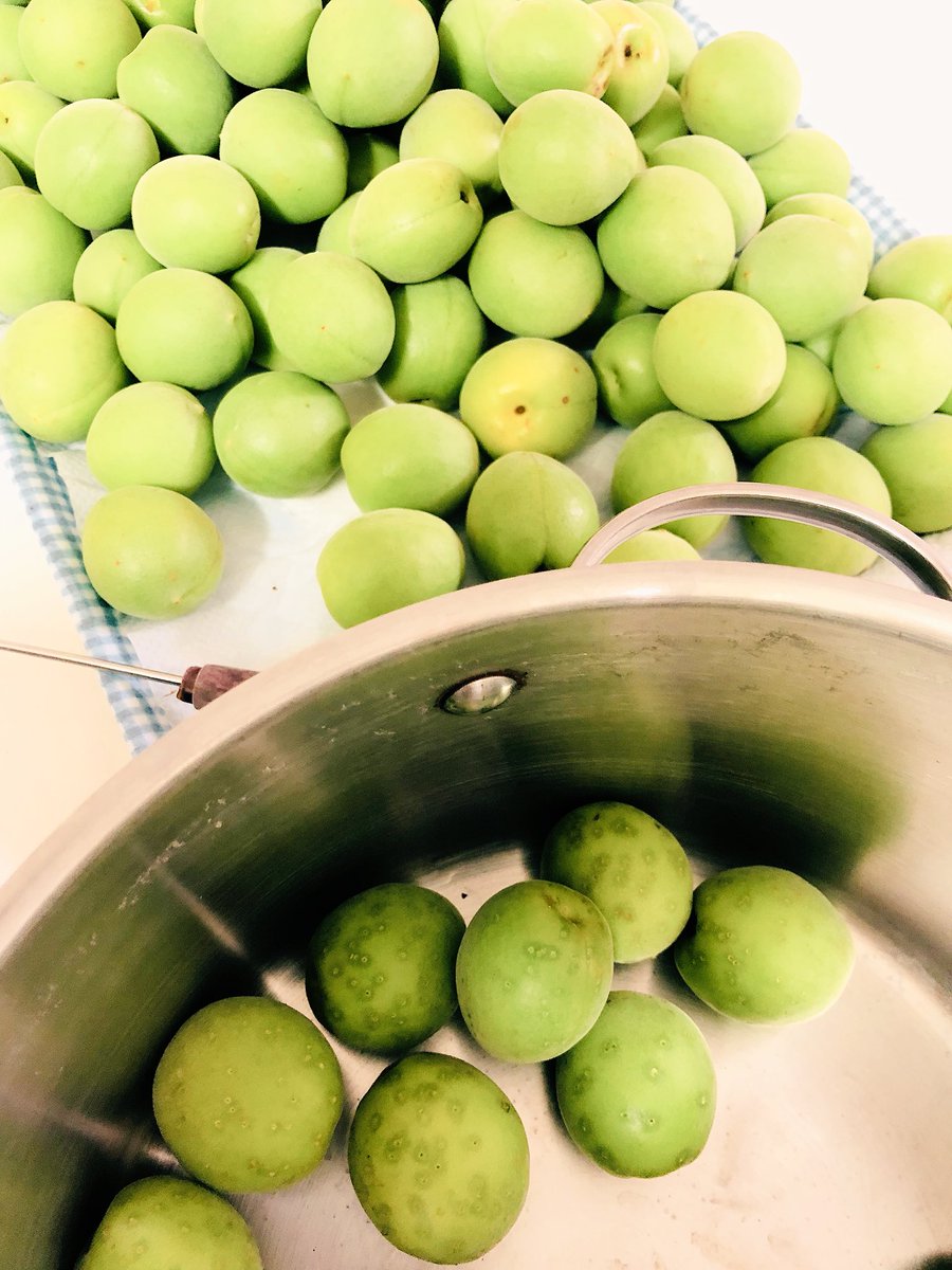 Rie Habu アク抜きしてから 拭き乾かして 千枚通しで６０箇所プチプチするのも無になれて楽しい 梅仕事 青梅甘露煮