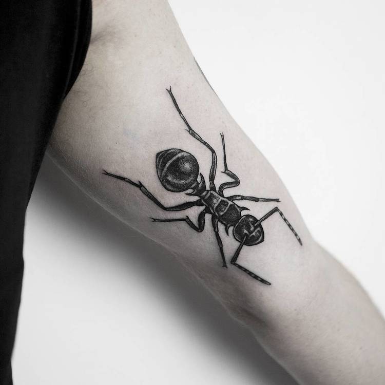 Deepwood tattoo  spider dangerous cute ant tattoo  Facebook