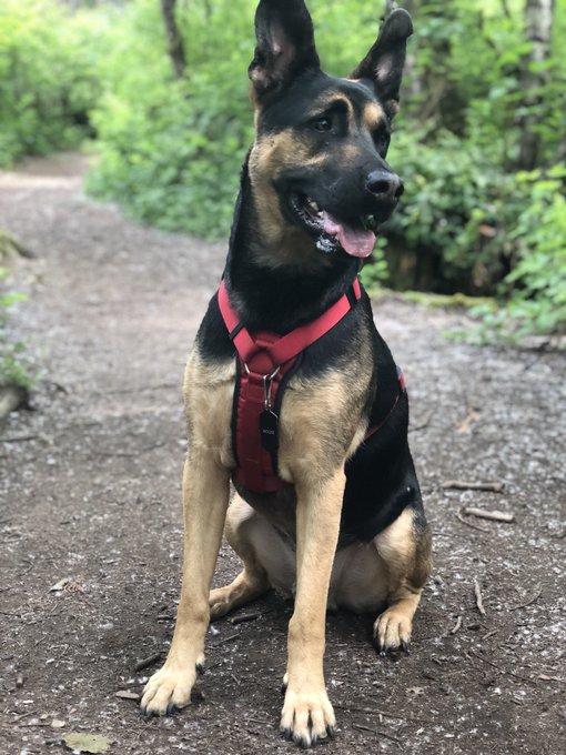 @RockettAbbey  https://t.co/OdLXfXFKD2<a class="tags" target="_blank" title="On Twitter" href="/?out=eyJ0eXAiOiJKV1QiLCJhbGciOiJIUzUxMiJ9.eyJpYXQiOjE3MjMwNTcyMTEsImlzcyI6InR3cG9ybnN0YXJzLmNvbSIsIm5iZiI6MTcyMzA1NzIxMSwiZXhwIjoxNzU0NTkzMjExLCJyZWRpcmVjdF91cmwiOiJodHRwczovL3R3aXR0ZXIuY29tL1JvY2tldHRBYmJleSJ9.6Wnhjs7-MwTiWCpGUYLgkn_omAHJQLBQdTxqoL68U7dQF8Xw53gLju_exRLyE8JE5EQcjMfZ6rRYwl8G4b7A-g">@RockettAbbey</a><a href="/tag/mycrush"class="tags"><span>#mycrush</span></a>