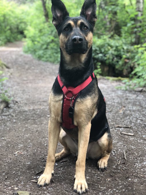 @RockettAbbey  https://t.co/OdLXfXFKD2<a class="tags" target="_blank" title="On Twitter" href="/?out=eyJ0eXAiOiJKV1QiLCJhbGciOiJIUzUxMiJ9.eyJpYXQiOjE3MjMwNTcyMTEsImlzcyI6InR3cG9ybnN0YXJzLmNvbSIsIm5iZiI6MTcyMzA1NzIxMSwiZXhwIjoxNzU0NTkzMjExLCJyZWRpcmVjdF91cmwiOiJodHRwczovL3R3aXR0ZXIuY29tL1JvY2tldHRBYmJleSJ9.6Wnhjs7-MwTiWCpGUYLgkn_omAHJQLBQdTxqoL68U7dQF8Xw53gLju_exRLyE8JE5EQcjMfZ6rRYwl8G4b7A-g">@RockettAbbey</a><a href="/tag/mycrush"class="tags"><span>#mycrush</span></a>