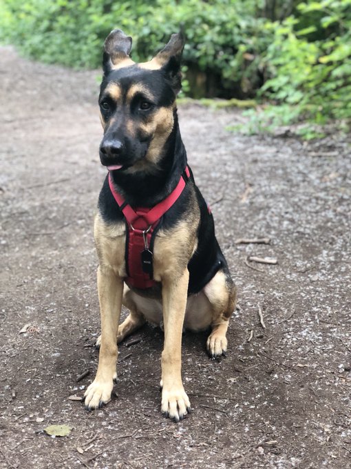 @RockettAbbey  https://t.co/OdLXfXFKD2<a class="tags" target="_blank" title="On Twitter" href="/?out=eyJ0eXAiOiJKV1QiLCJhbGciOiJIUzUxMiJ9.eyJpYXQiOjE3MjMwNTcyMTEsImlzcyI6InR3cG9ybnN0YXJzLmNvbSIsIm5iZiI6MTcyMzA1NzIxMSwiZXhwIjoxNzU0NTkzMjExLCJyZWRpcmVjdF91cmwiOiJodHRwczovL3R3aXR0ZXIuY29tL1JvY2tldHRBYmJleSJ9.6Wnhjs7-MwTiWCpGUYLgkn_omAHJQLBQdTxqoL68U7dQF8Xw53gLju_exRLyE8JE5EQcjMfZ6rRYwl8G4b7A-g">@RockettAbbey</a><a href="/tag/mycrush"class="tags"><span>#mycrush</span></a>