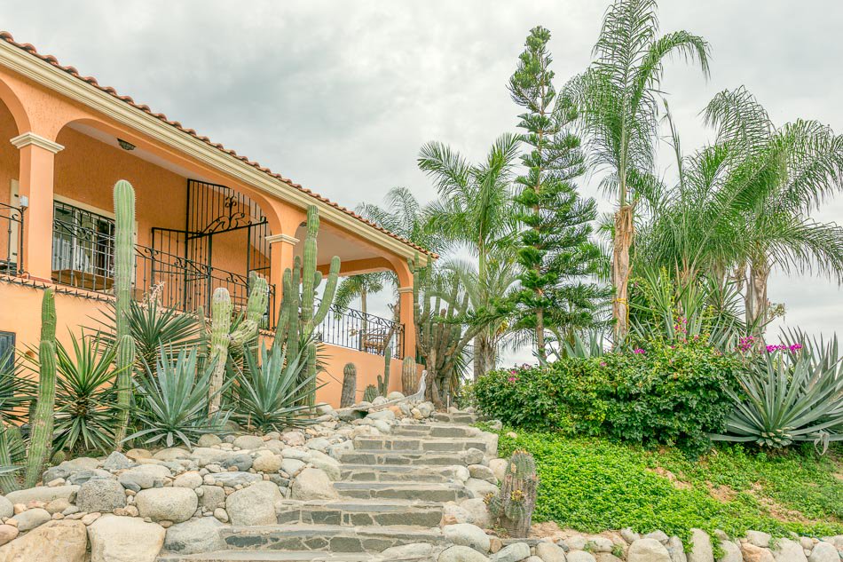 CBRiveras's tweet photo. Casa Los Mangos a beautifully landscaped property in Las Tunas, Todos Santos. 
This is Baja!
#bajalovers #findyournewhome #myhome #houseforsale #todossantos https://t.co/u5rC1mPjmn