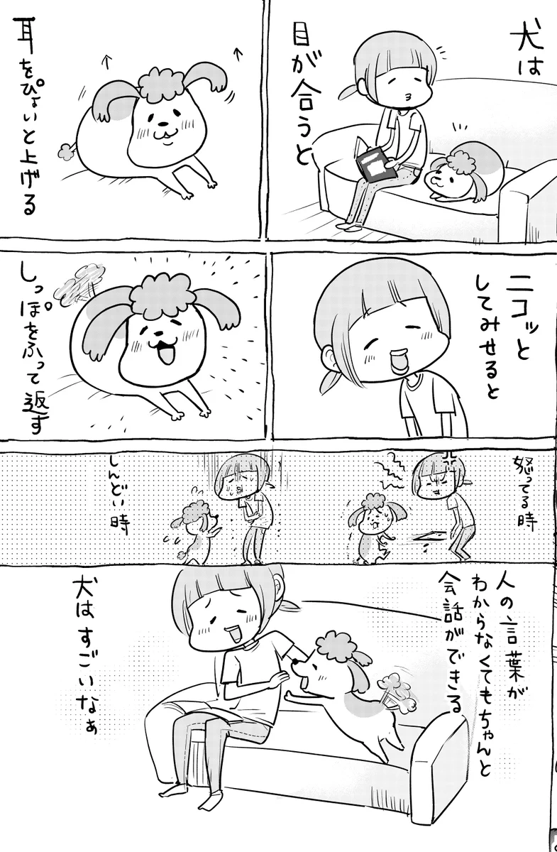 人の言葉がわからなくても会話ができる犬に対して？人の言葉がわかる猫ｗｗｗ