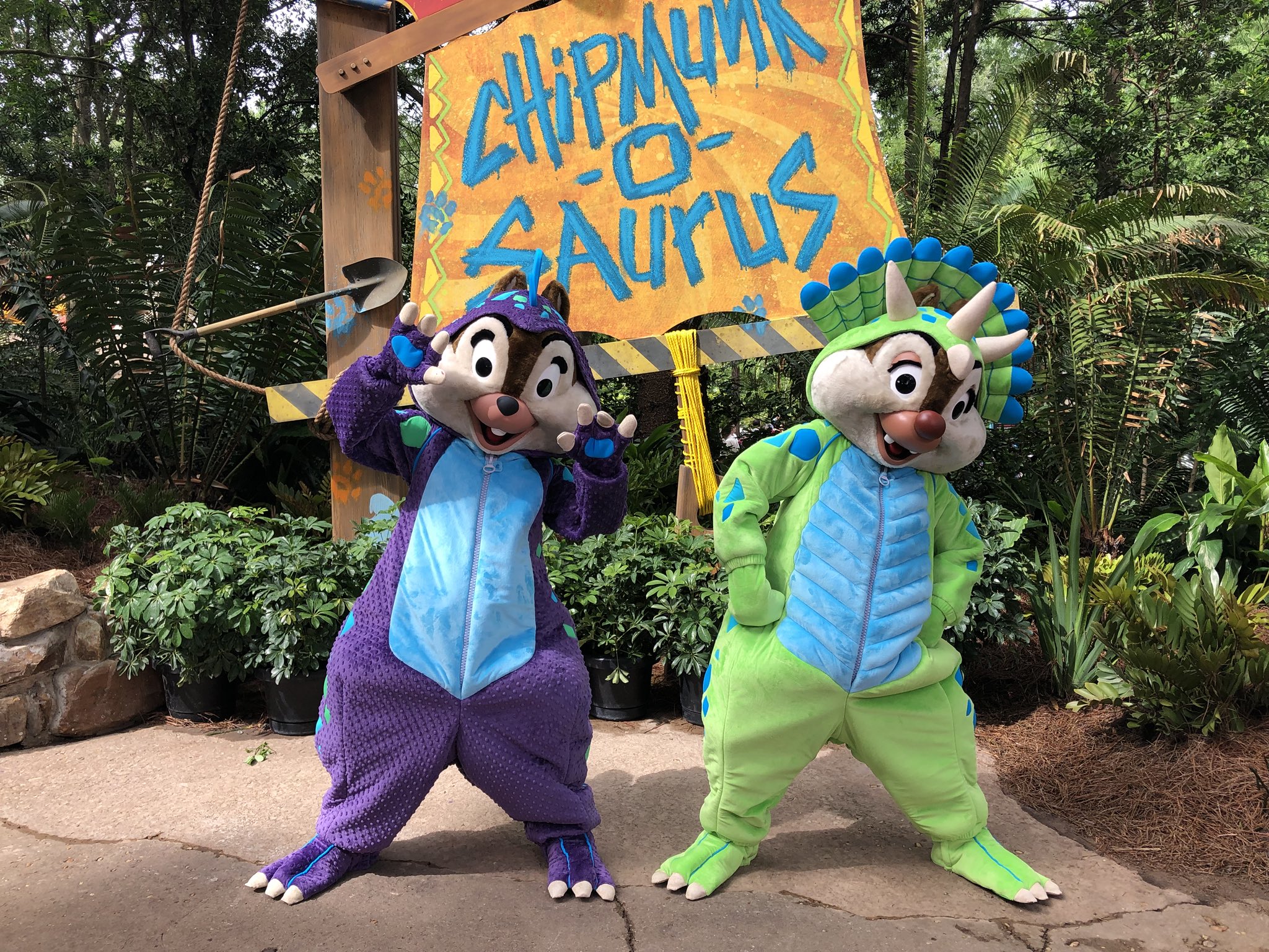 Character Central Donald S Dino Bash At Disney S Animal Kingdom Is Really Awesome Chip N Dale Are Totally Adorable Disney Wdw Donaldsdinobash Disneycharacters Chip Dale Donaldduck Scrooge Launchpadmcquack Ducktales T