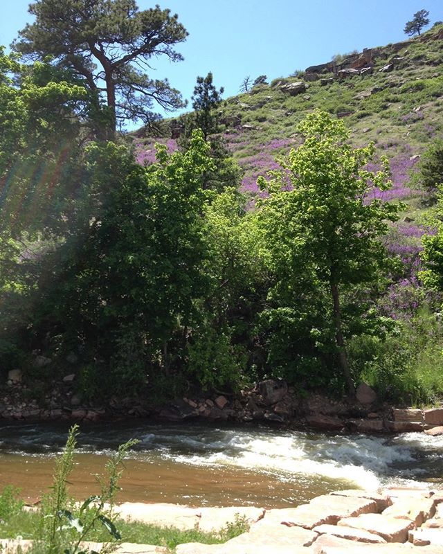 coloradofests's tweet photo. It is Colorado and the hills are alive with color . Come visit & attend the first Boulder Film and Brew Fest September 15, 2018 .
https://t.co/YEkF550K2I
More to come .
#boulder #filmfestival #fun #coloradoconnection #CFP2018 https://t.co/2u5h0mLI6z https://t.co/MOkVoKHZOI