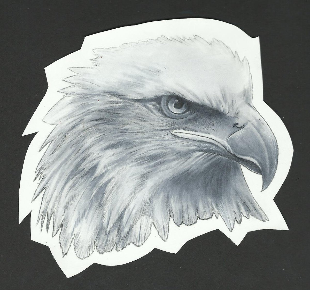 My next rendering texture study: Animal. For this, I did a eagle. #rendering #texturestudy #eagle #baldeagle #baldeagleart #traditionalart #eaglehead