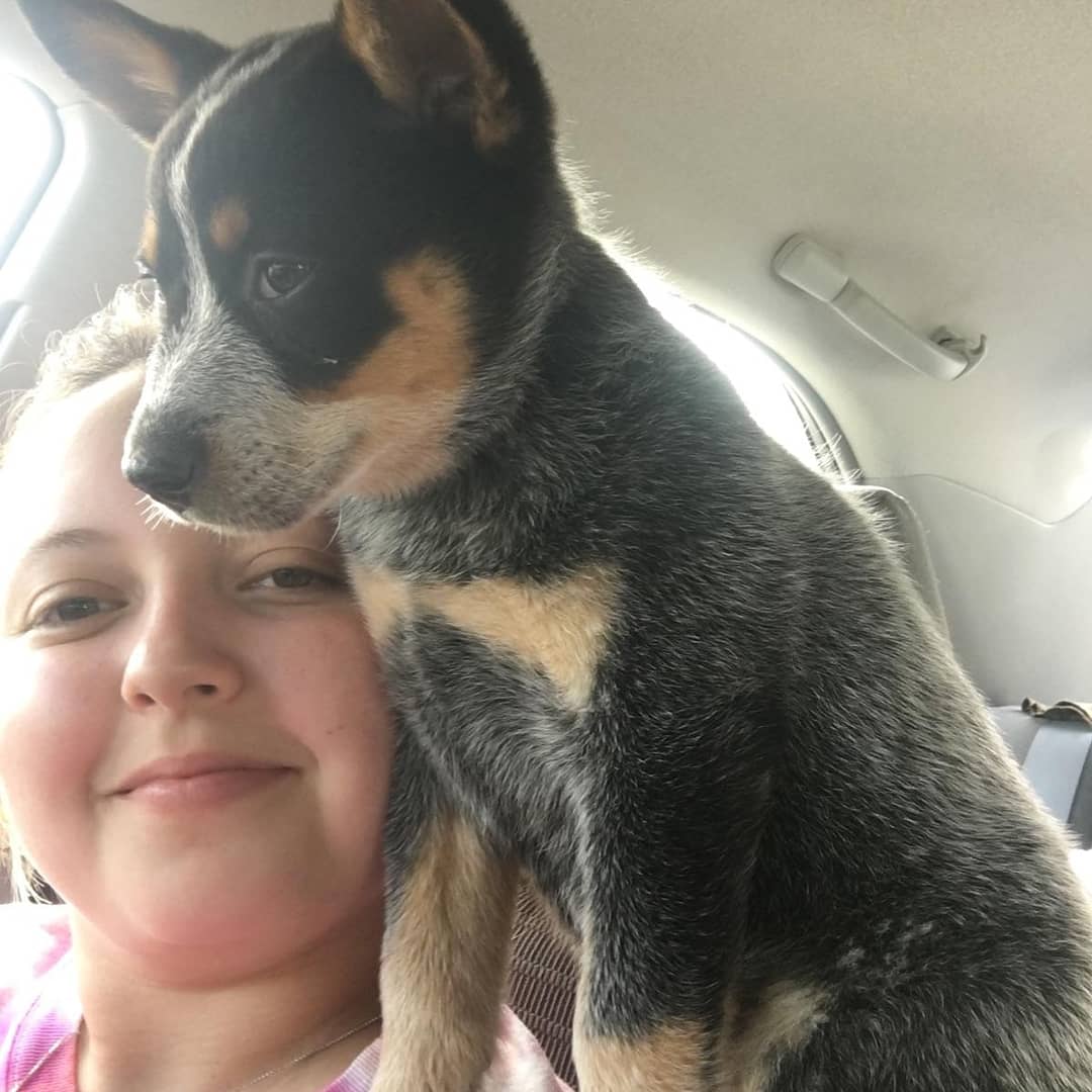 epc19111's tweet image. 