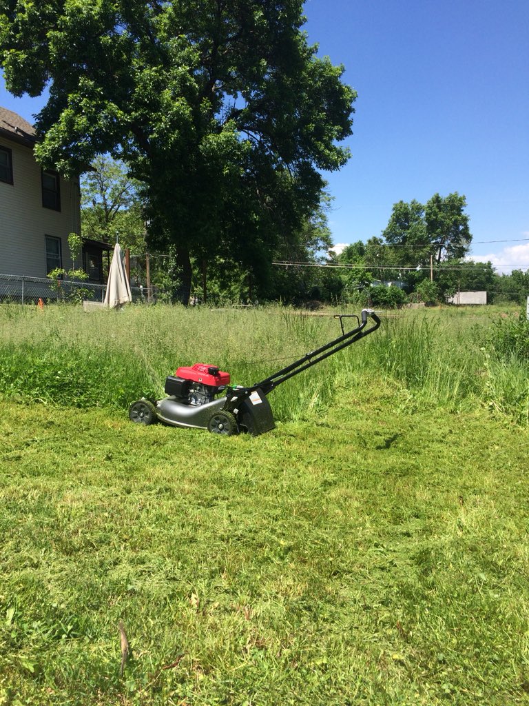 Mitchell Post tweet media