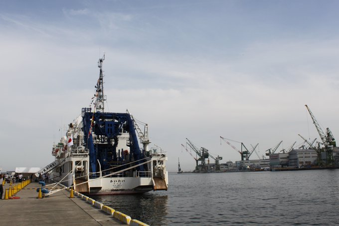 KapoのTwitter画像16