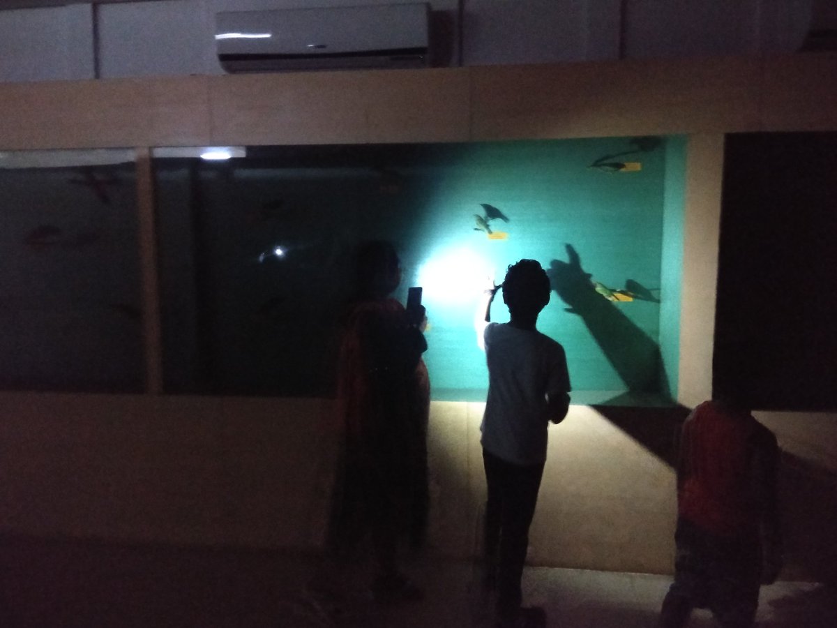 bimalhere's tweet image. @Culturedeptt @Naveen_Odisha 
It's ridiculous, even at 11.30 am #lights &amp;amp; newly instaled #ACS not functioning a@ #OdishaStateMuseum. No one can survive &amp;gt; than 30 min due to stingent smell &amp;amp; air suffocation.Outside Tourist seems unhapy. Visitors use moble flash to C the sights.1/2