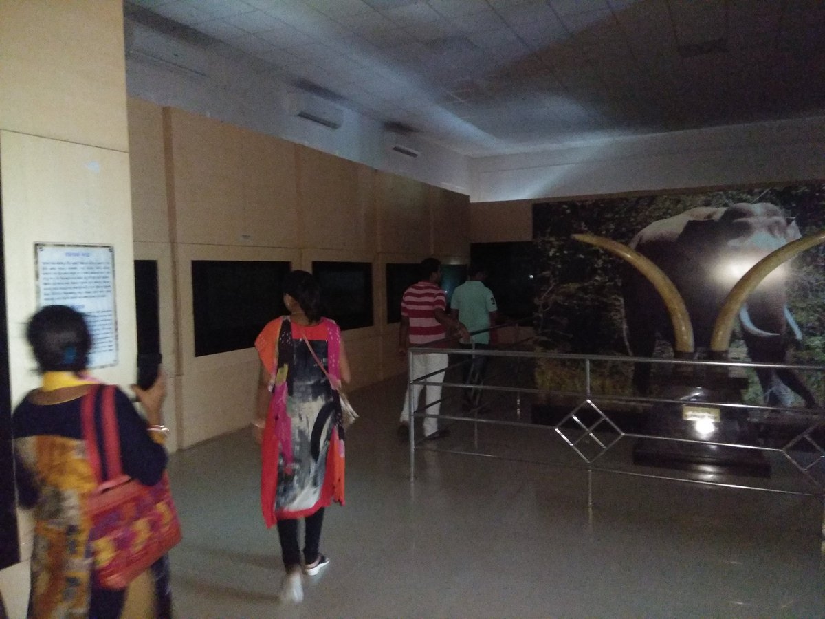 bimalhere's tweet image. @Culturedeptt @Naveen_Odisha 
It's ridiculous, even at 11.30 am #lights &amp;amp; newly instaled #ACS not functioning a@ #OdishaStateMuseum. No one can survive &amp;gt; than 30 min due to stingent smell &amp;amp; air suffocation.Outside Tourist seems unhapy. Visitors use moble flash to C the sights.1/2