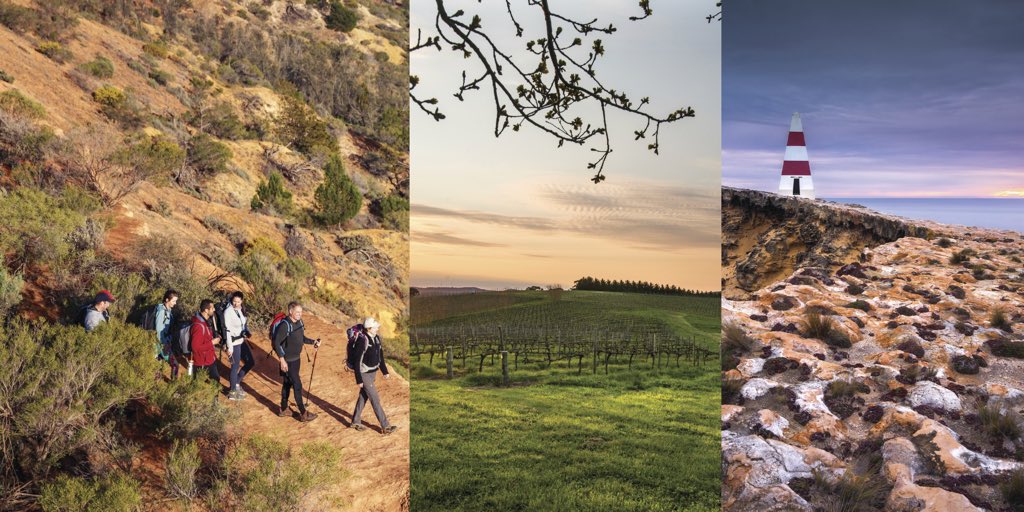 marshall_steven's tweet image. We’ve launched a new Regional Visitor Strategy that aims to create 1,000 new jobs and boost the regional visitor economy by $1 billion. It’s part of our strong plan to recharge the regions and create more #SAJobs. #RegionsMatter #SeeSouthAustralia @tourismsa