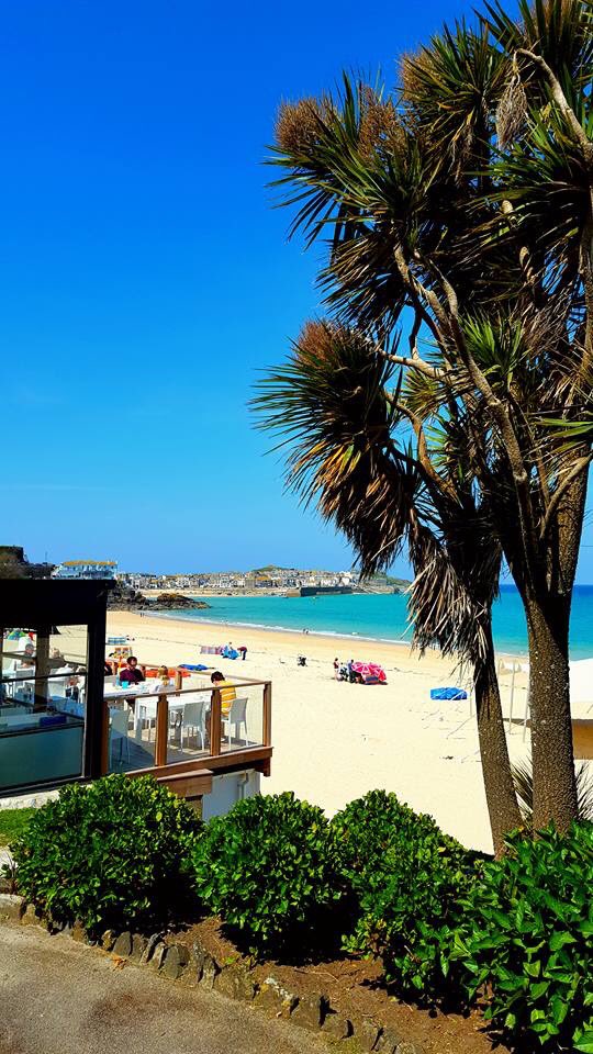 Views through the trees of Porthminster beach St Ives #porthminster #porthminsterbeach #stives #cornwall