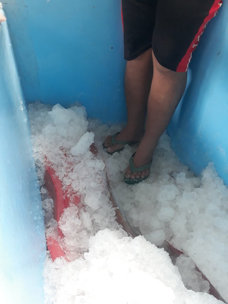 Pembongkoran ikan dari agen natuna menuju tanjung pinang melalui <a href="/kapal/">kapal</a> dengan muatan ikan sekitar 1 ton oleh pak m.said