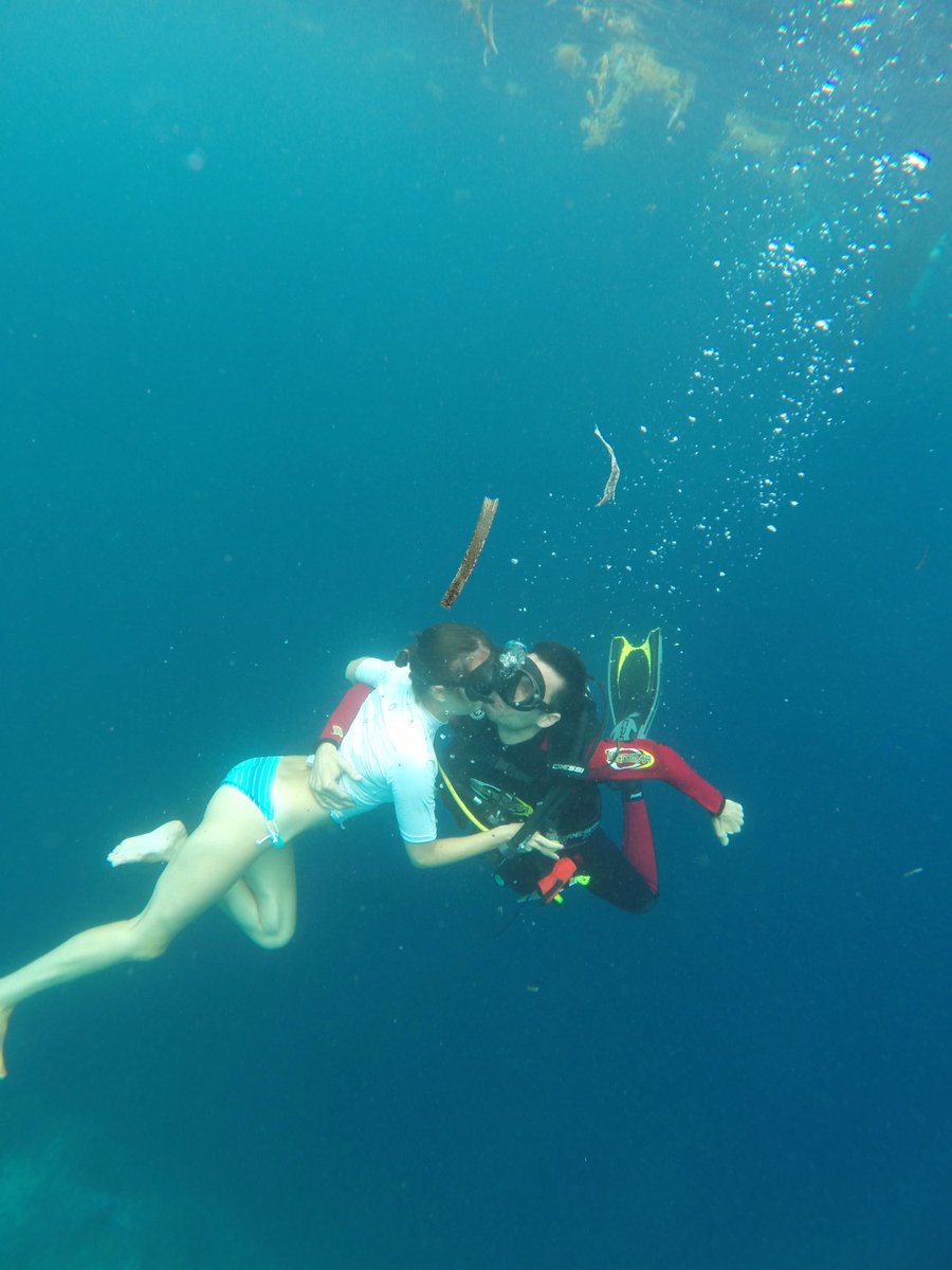 Diving_Bali's tweet photo. What happens when a Scuba Diver meets a Freediver underwater?

📸 Photo Credit - Andy Embers
🧜🏼‍♀️ Free Diver - Marine
🧜🏽‍♂️ Scuba Diver - Karim

#DivingBali
#IKissedAFreediver
#UnderwaterPhotography https://t.co/51S8s17X22