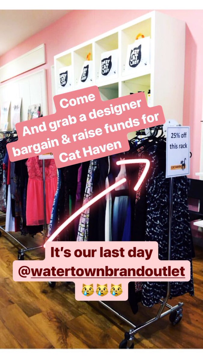 Cat Haven (@cathavenwa) on Twitter photo 