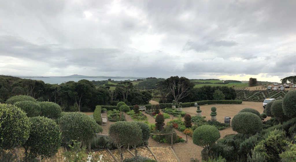 Allison Krug tweet media