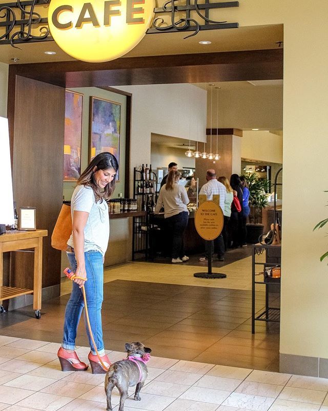 anawilk01's tweet photo. Loving how my little lady was the star of the show while shopping and eating. Who else takes hair dog EVERYWHERE?
📷 by: @surfnukumoi
.
.
.
.
.
#personalshopper #personalstylist #nordstrom @nordstrom @nordstromnorthcounty #nordstromcafe #shopping #ins… https://t.co/aVkogSi7ny https://t.co/IPW1THc6F4