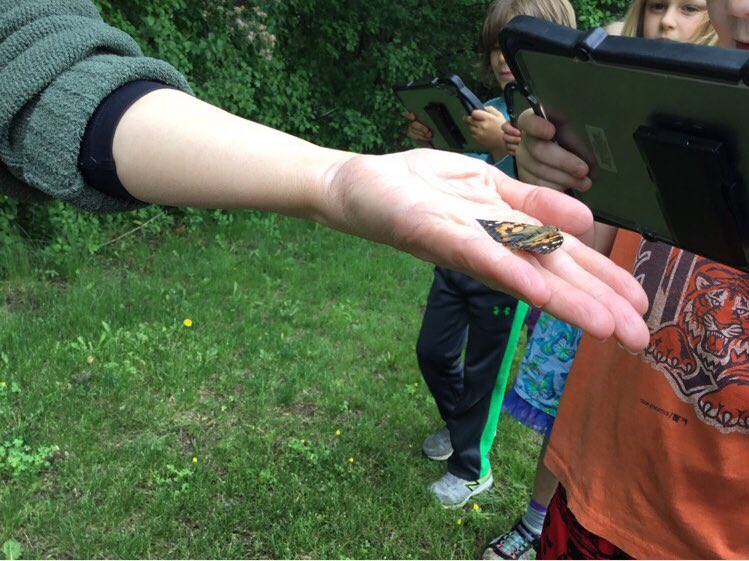 ChipGrover's tweet photo. Mrs. Grover’s first graders watched and recorded as we set our butterflies free!  #ncecsd #northinnovates @NorthCreekElem https://t.co/wyrdPGbma6