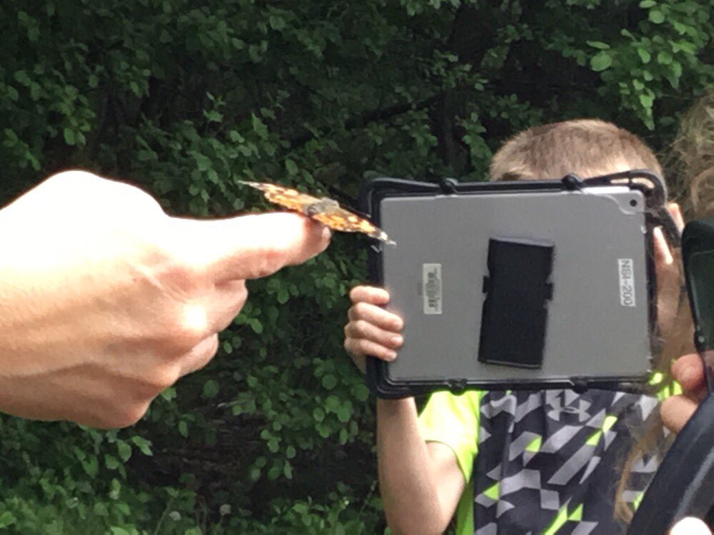 ChipGrover's tweet photo. Mrs. Grover’s first graders watched and recorded as we set our butterflies free!  #ncecsd #northinnovates @NorthCreekElem https://t.co/wyrdPGbma6