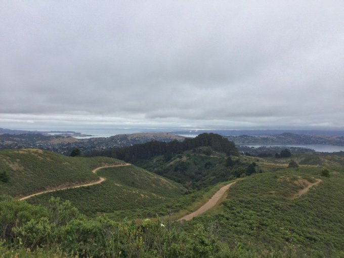 Overcast at #SFRC. Shorter run today (~11.1miles), still 2100+' of climbing.  The cool weather was perfect<a href="/tag/sfrc"class="tags">#SFRC</a>