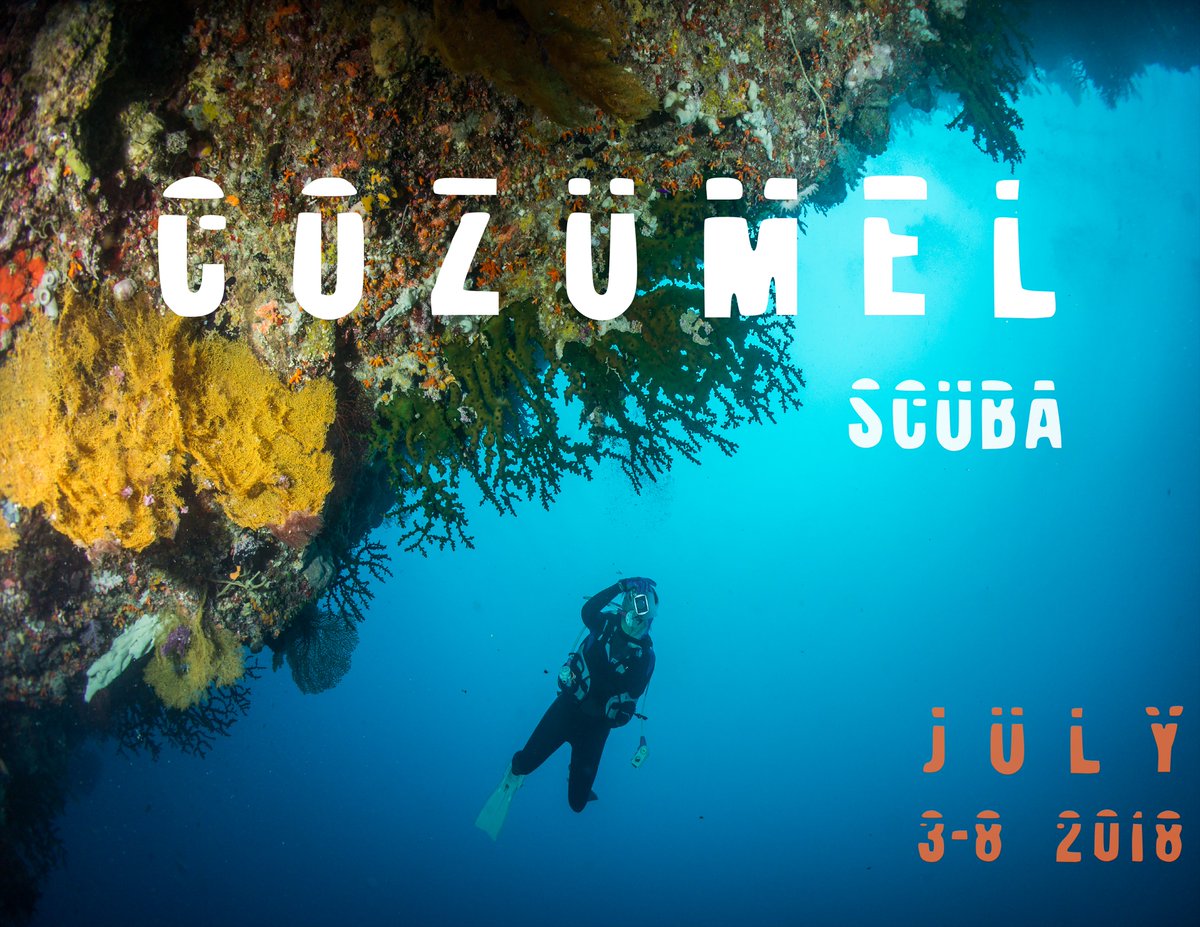 Dive with us this July 3-8 in an amazing scuba expedition to Cozumel in the Carribean Sea! 
Get your tickets here --> reydiving.net/trips