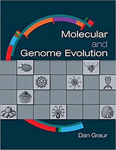 randomized algorithms approximation generation and counting