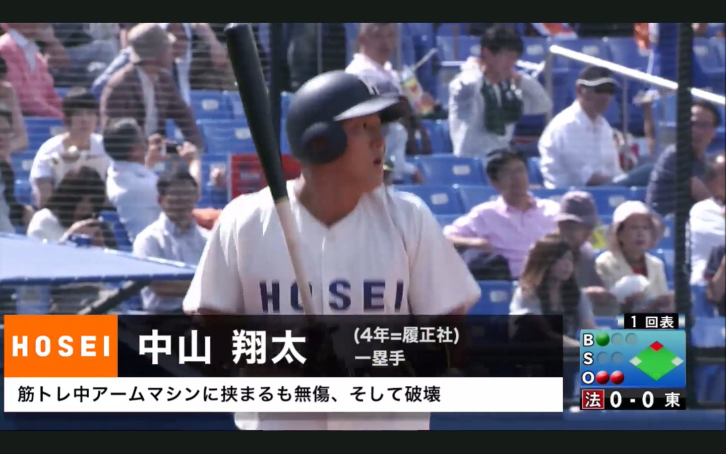 Twitter 上的 のん プロテインネタなら 金魚よりゴリラのほうが面白かったと思うんだけどさぁ T Co H6wunpactv Twitter