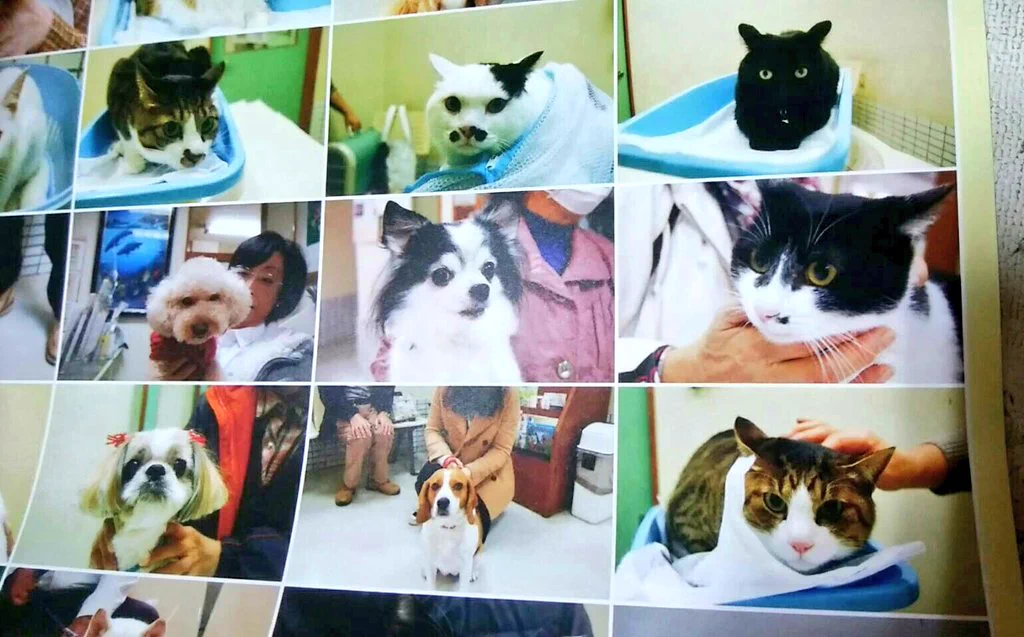 他にあったでしょｗ動物病院のカレンダーが来院した時の写真でみんな真顔ｗｗｗ