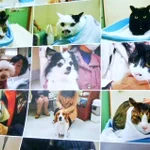 他にあったでしょｗ動物病院のカレンダーが来院した時の写真でみんな真顔!