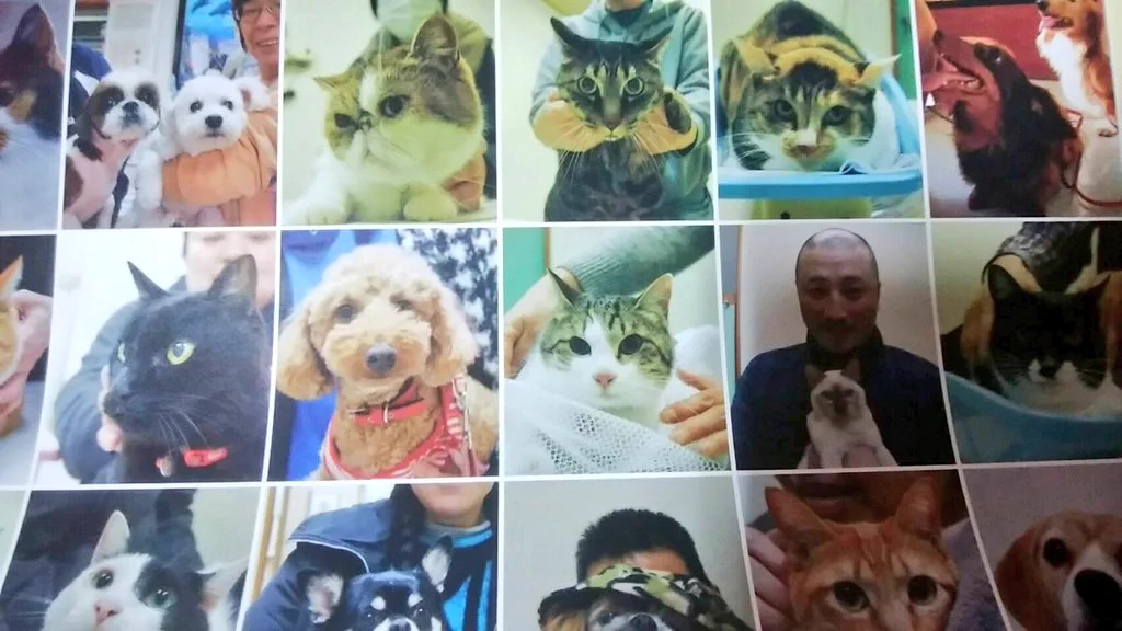 他にあったでしょｗ動物病院のカレンダーが来院した時の写真でみんな真顔ｗｗｗ