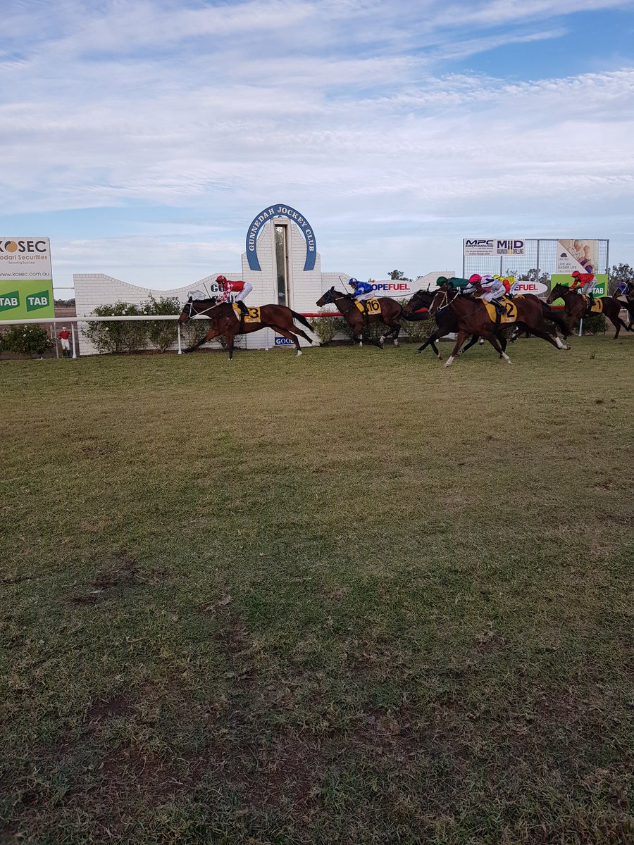 Hope Fuel Gunnedah Showcase Cup Winner Unbiased No.3 #gunnedahcup #gunnedahGoldCup #RacingNSW #Countryracing