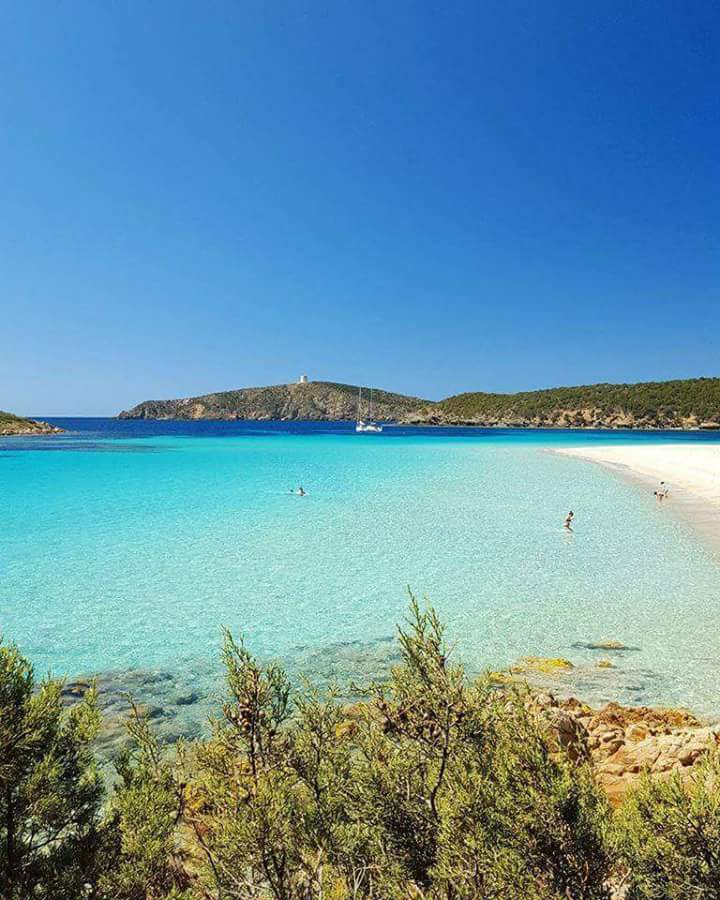 confusa11's tweet image. Arrivi a #Tuerredda e pensi:
Il paradiso è quì 😍😍
BUONGIORNO a tutti💖