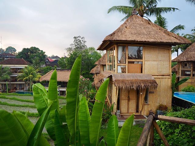 reynafoto's tweet photo. Home for the last 3 days in #ubudbali. Now it’s time for the long journey back to the US. https://t.co/burz3KDLtX