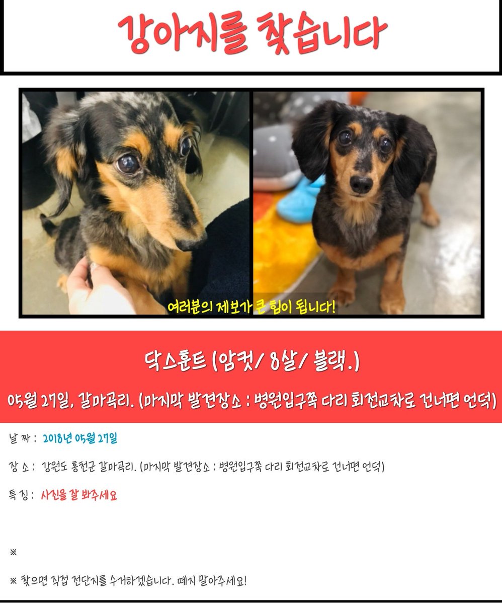 쫑블리 tweet media