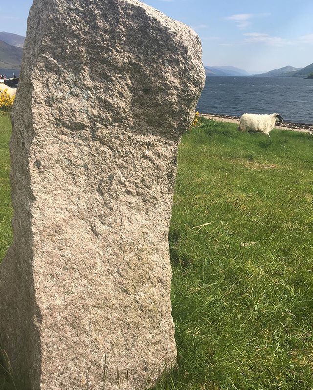 ficottercraig's tweet photo. Sheep and I’m wondering if this is a #standingstone?  There are three randomly spaced but this was the only one accessorised by a sheep. They’re on the shore at Ardgour.  The stones and the sheep

#CorranLighthouseLodge #CorranFerry  #WestCoast #LochLinnhe #Scotland #Spectac… https://t.co/9CrgufEScr