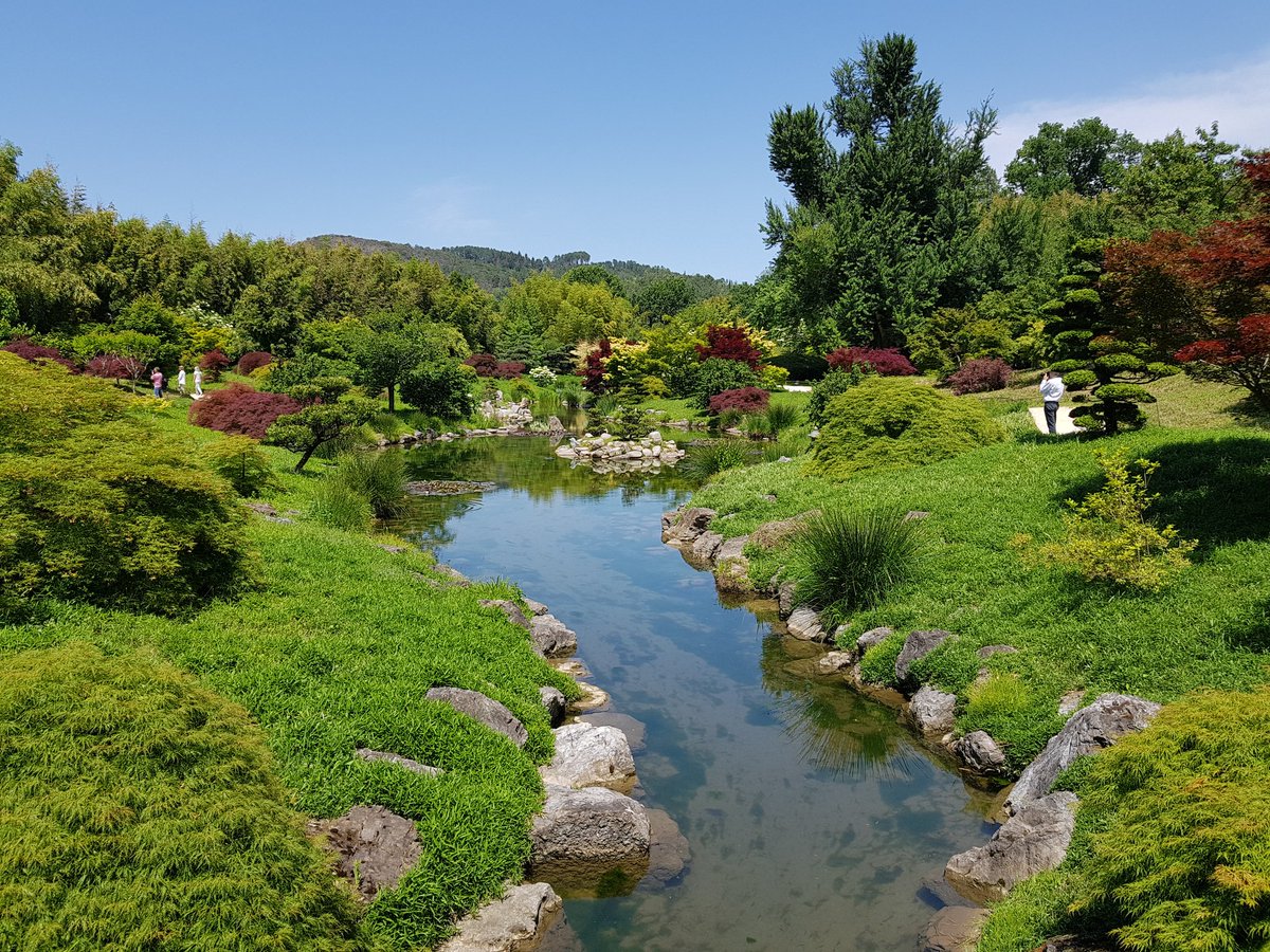 _DantSu's tweet image. J&apos;avoue j&apos;ai triché, je suis allé à la #bambouseraie ;) #SudWeb #Anduze