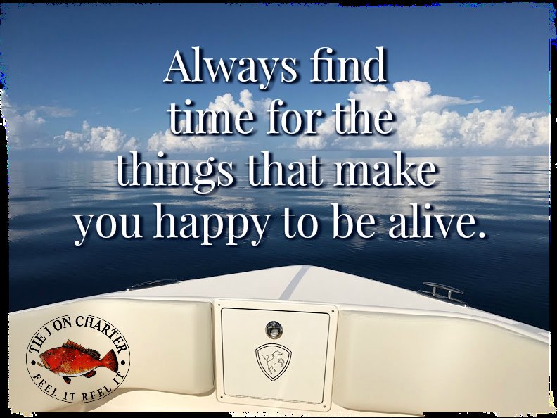 Shawn 🇨🇦🍁 tweet media