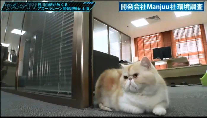 ここで働きたい？アズールレーン開発会社の社長が可愛すぎるｗｗｗ