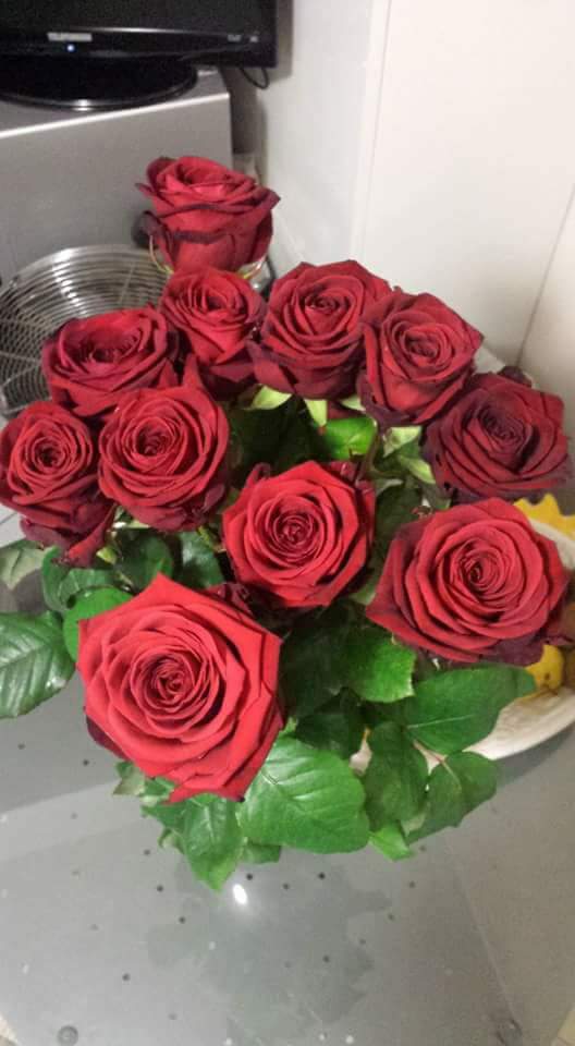 Monica Quaglia Buon Anniversario Rosa E Un Anno Che Vivi In Casa Con Noi